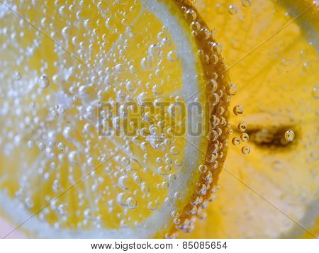 Lemon Slice in Clear Soda Water