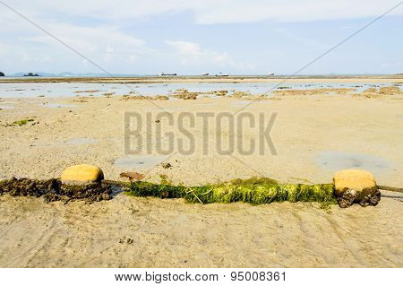 Old Buoy Cover By Green Algea