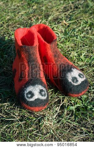 Boots Ladybug.