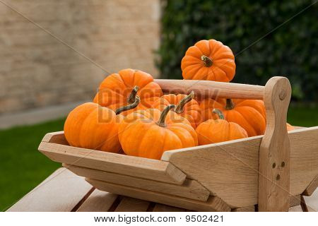 Pumpkins