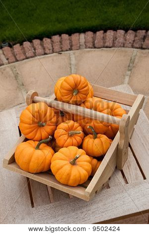 Pumpkins
