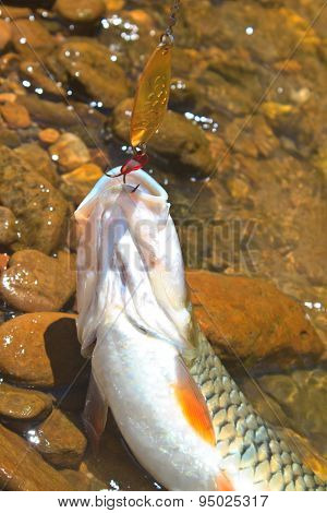 Hampala barb hook Metallic Fishing Lure