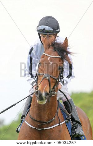 One Jockey On A Race Horse