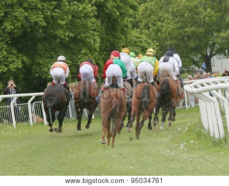 Rear View Of The Race Horses In A Curve