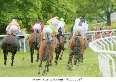 Rear View Of The Race Horses In A Curve