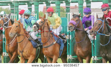 The Start In The Horse Race