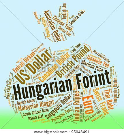Hungarian Forint Shows Foreign Exchange And Broker