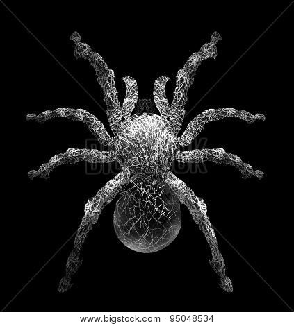 Tarantula Spider In Cobweb Form.it Isolated On Black ,give Feeling Creepy Haunted