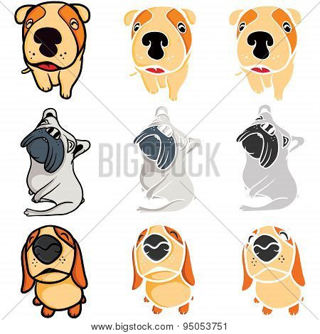 Puppies