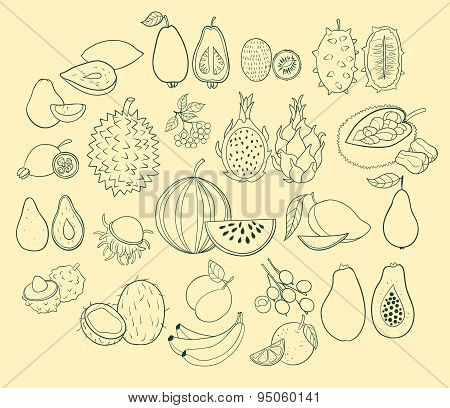 Vector set of exotic fruits.
