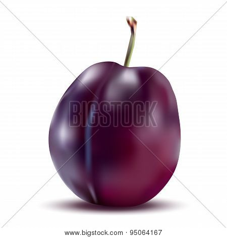 Realistic Plum