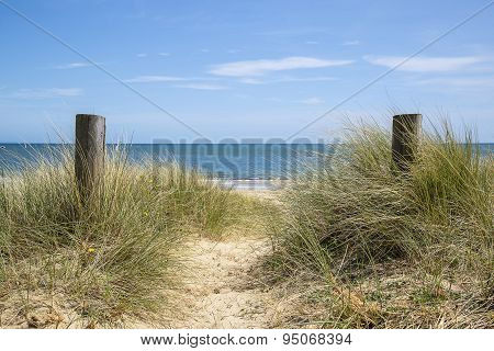 Lovely Sand Dunes And Beach Landscape On Sunny Summer Day