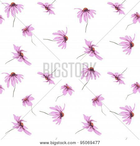 Echinacea Pattern