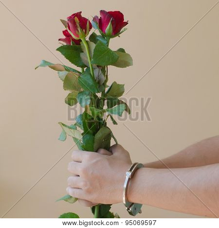 Red Rose In Hand With Handcuffs