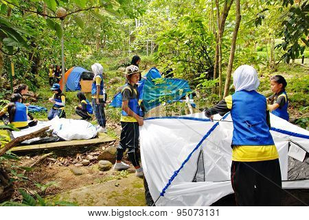 Working together as a team