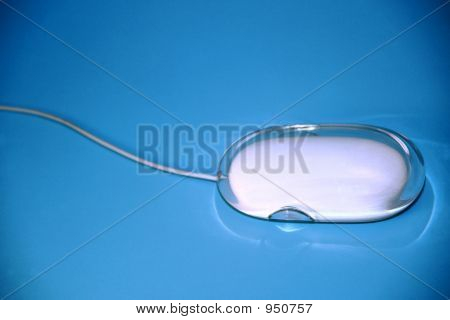Myš