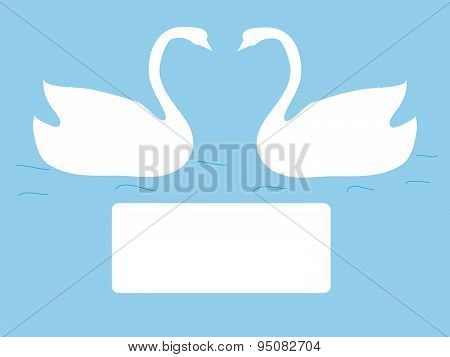 Postcard swans love symbol wedding