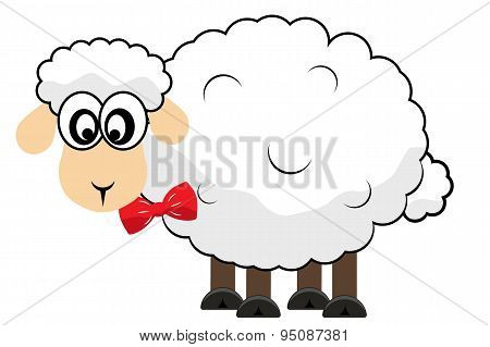 Sheep