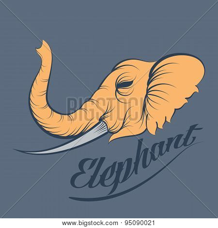 Elephant Vector