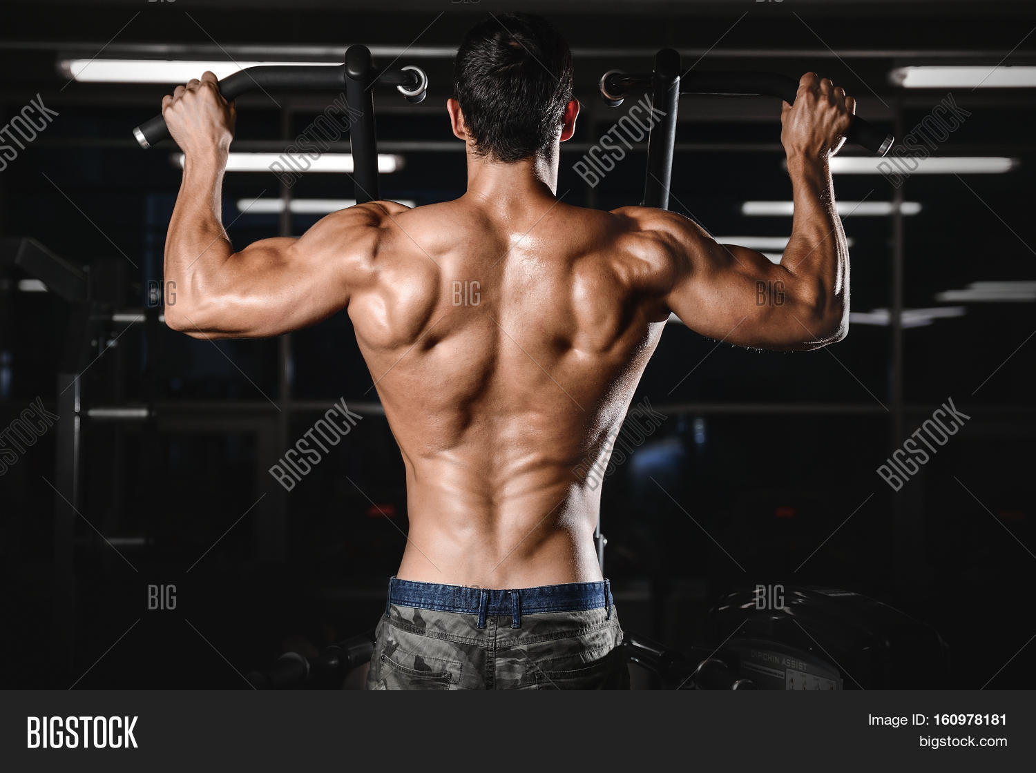Back Muscle Man’s Image & Photo (Free Trial) Bigstock