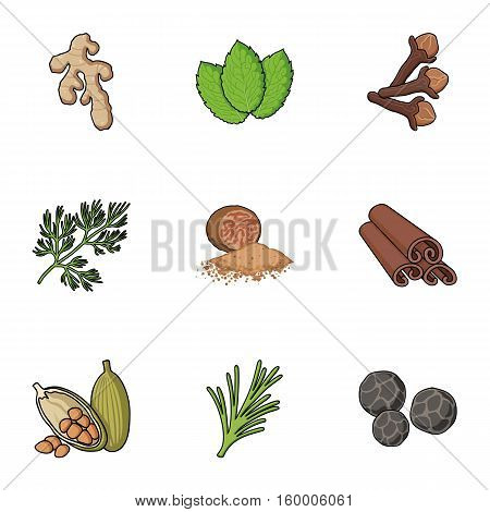 Herb and spices set icons in cartoon style. Big collection of herb and spices vector symbol stock
