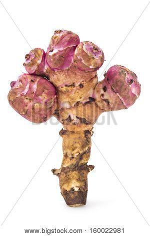 Fresh raw Jerusalem artichoke isolated on white background