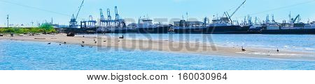 Tacoma Port With Cranes And Boats.