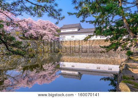 Hikone, Japan at Hikone Casle in the spring season.