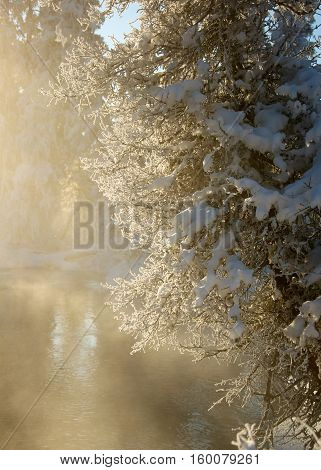 Beautiful winter landscape with snow-covered tree on the shore of Lake Baikal