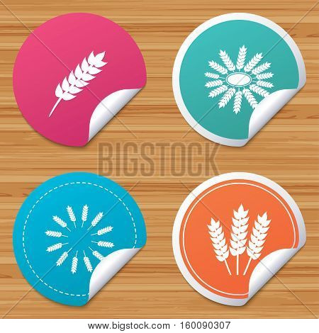 Round stickers or website banners. Agricultural icons. Gluten free or No gluten signs. Wreath of Wheat corn symbol. Circle badges with bended corner. Vector