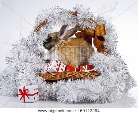 christmas rabbit with a christmas baset and gifts