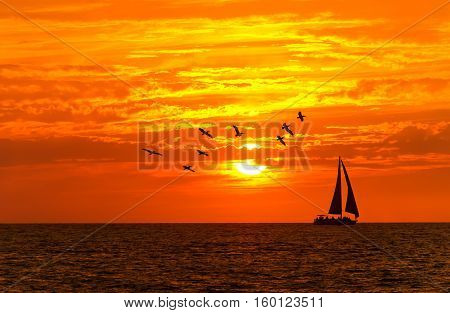 Ocean sunset sailboat birds is a sailboat sailing along the ocean water at sunset with a large flock of silhouette birds following close behind.