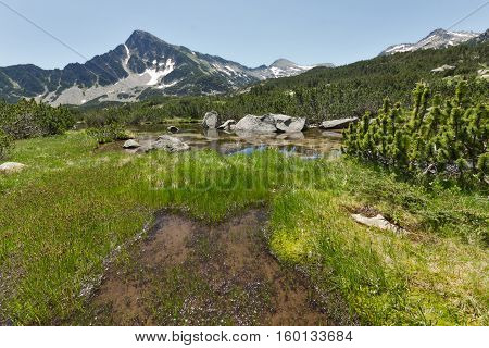 Green grass, Sivrya peak and Banski lakes, Pirin Mountain, Bulgaria