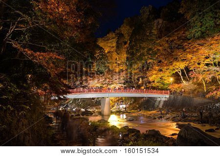 Korankei In Autumn With Lighting Show In Aichi,japan