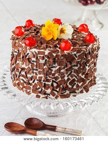 Black forest cake with cherries on a cake stand.