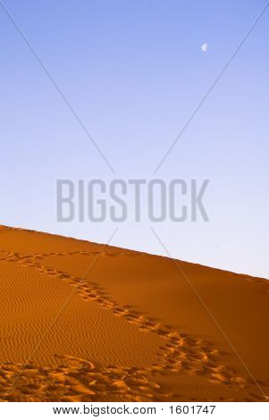 Východ slunce v poušti Erg Chebbi