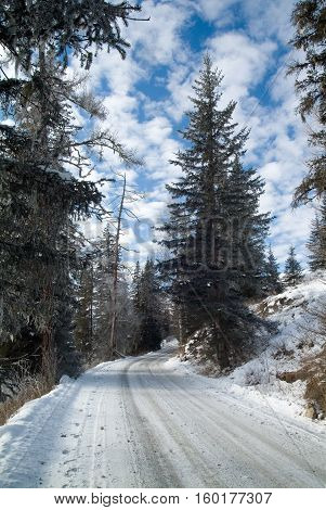 Winter mountain sunny road, Russia Altai Altay