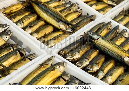 Trays with smoked mackerel scomber in supermarket