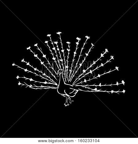Hand-drawn pencil graphics, peacock bird. Engraving, stencil style. Black and white logo, sign, emblem, symbol. Stamp, seal. Simple illustration. Sketch.