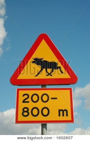 Avviso