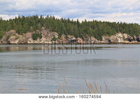Fundy Bay Atlantic Ocean New Brunswick multimillion years geological structures differ from clay form by volcanic ash to lava rocks like on picture of Campobello Island coastline with pine trees