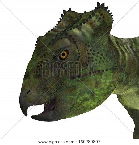 Archaeoceratops Dinosaur Head 3D Illustration - Archaeoceratops was a Ceratopsian herbivorous dinosaur that lived in China in the Cretaceous Period.