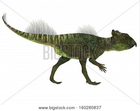 Archaeoceratops Dinosaur Side Profile 3D Illustration  - Archaeoceratops was a Ceratopsian herbivorous dinosaur that lived in China in the Cretaceous Period.