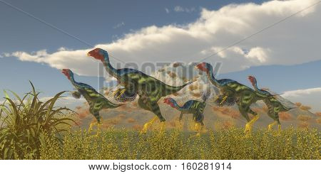 Caudipteryx Dinosaur Flock 3D Illustration - Caudipteryx was a dinosaur reptile bird that lived in China in the Cretaceous Period.