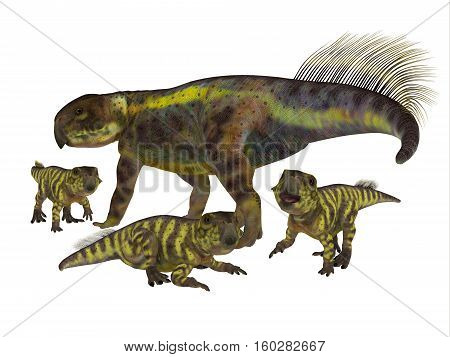 Psittacosaurus Mother with Offspring 3D Illustration - Psittacosaurus was a Ceratopsian herbivorous dinosaur that lived in Asia in the Cretaceous Period.