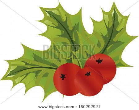 Mistletoe plant characteristic of Christmas and romance