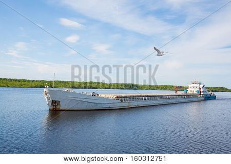 Cargo ship goes on the river Svir River and flying seagull. Karelia, Russia
