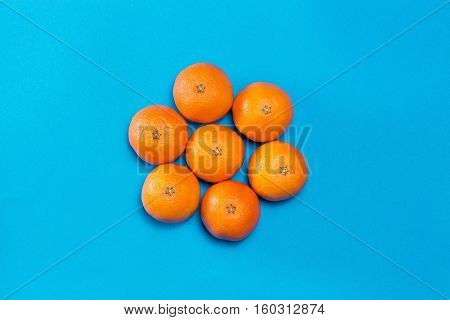 Six Colorful fresh orange mandarins laid out on blue table viewed from above with copy space.