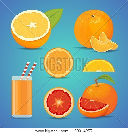 freash orange fruit with green leaves. sliced orange vector