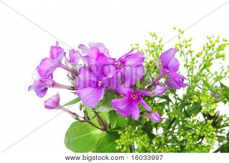 fleurs : petit bouquet de fleurs pansy avec vert herbe isolé sur fond blanc